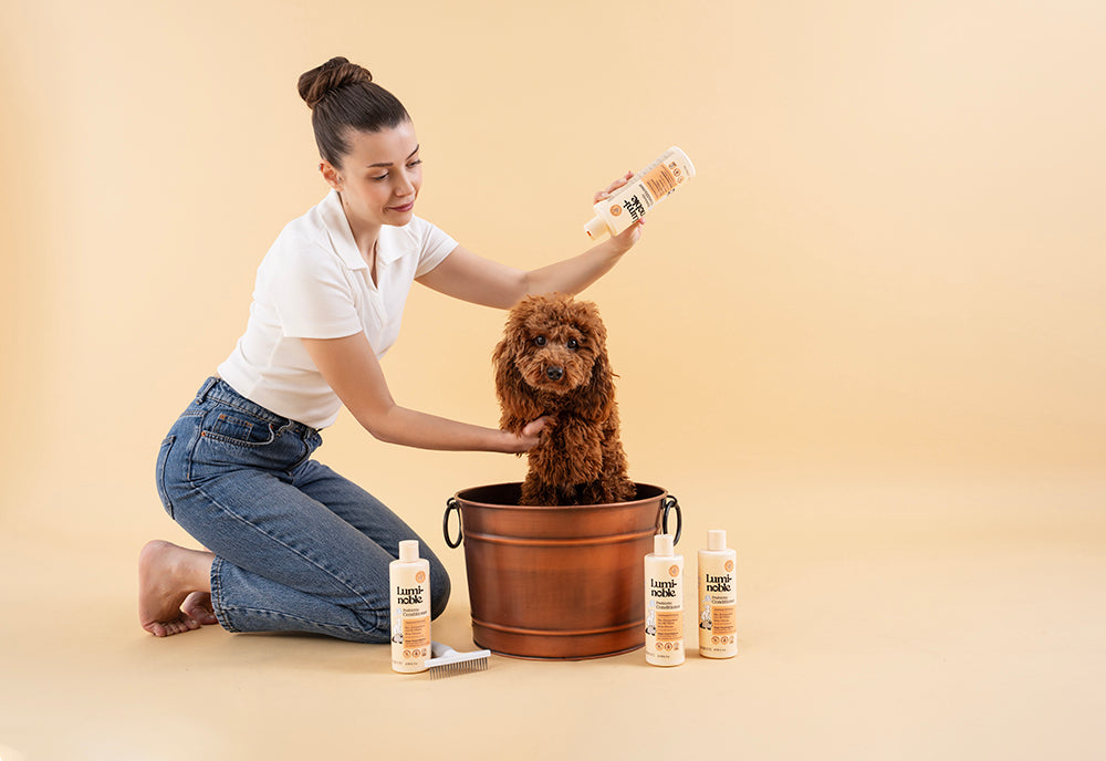 Lumi-Noble.抗敏膠原蛋白燕麥寵物沐浴露 473ml