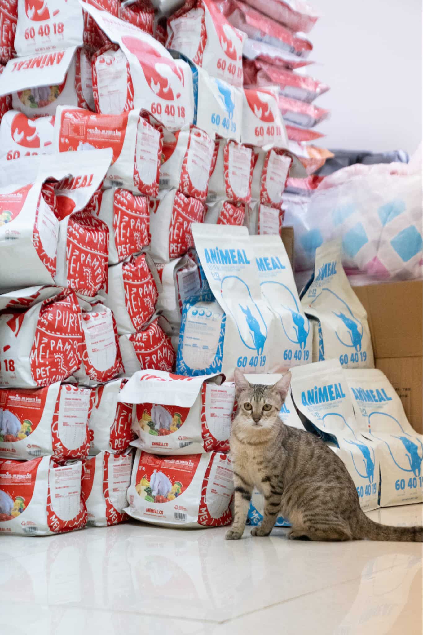 【03諾予浪】代捐貓糧｜極需乾糧