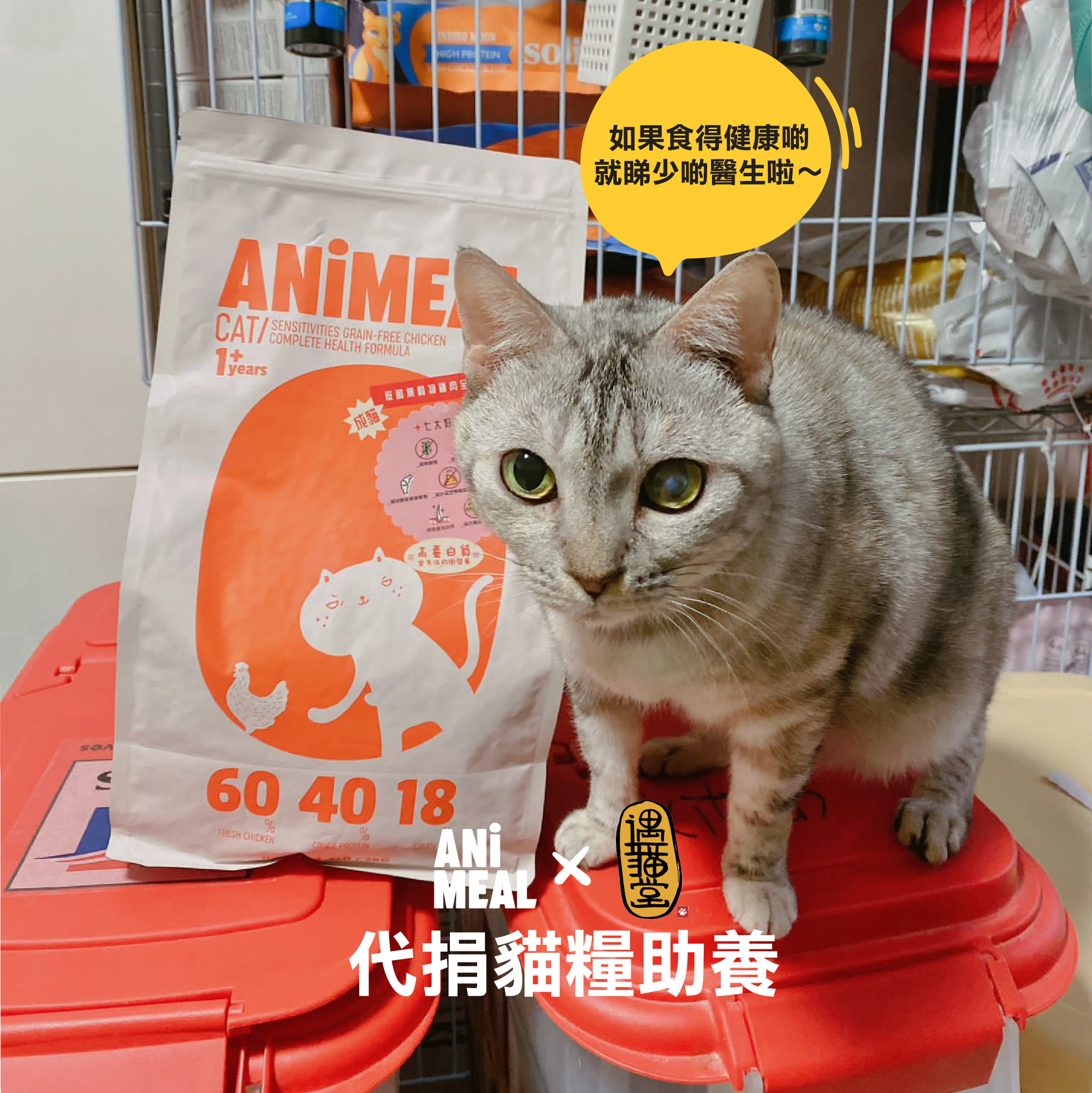 [YuMaoTang] Cat Food Donation Proxy Service