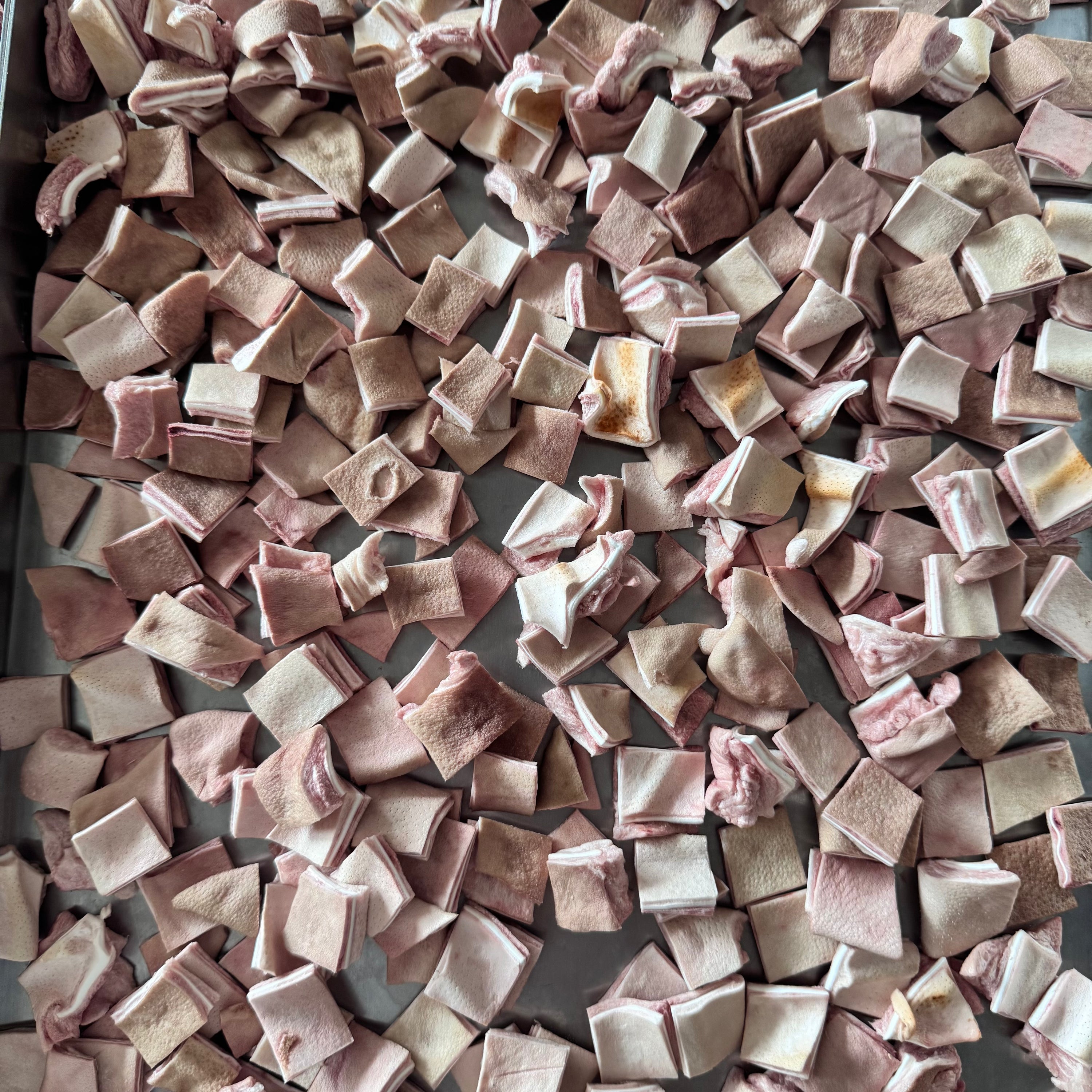 【新登場】ANiMEAL凍乾阿根廷豬耳60g（建議先浸水再食）