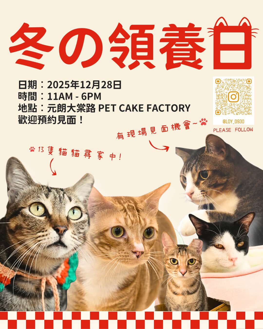 【18- 13survival cats group (獨立義工Ally)】代捐貓糧