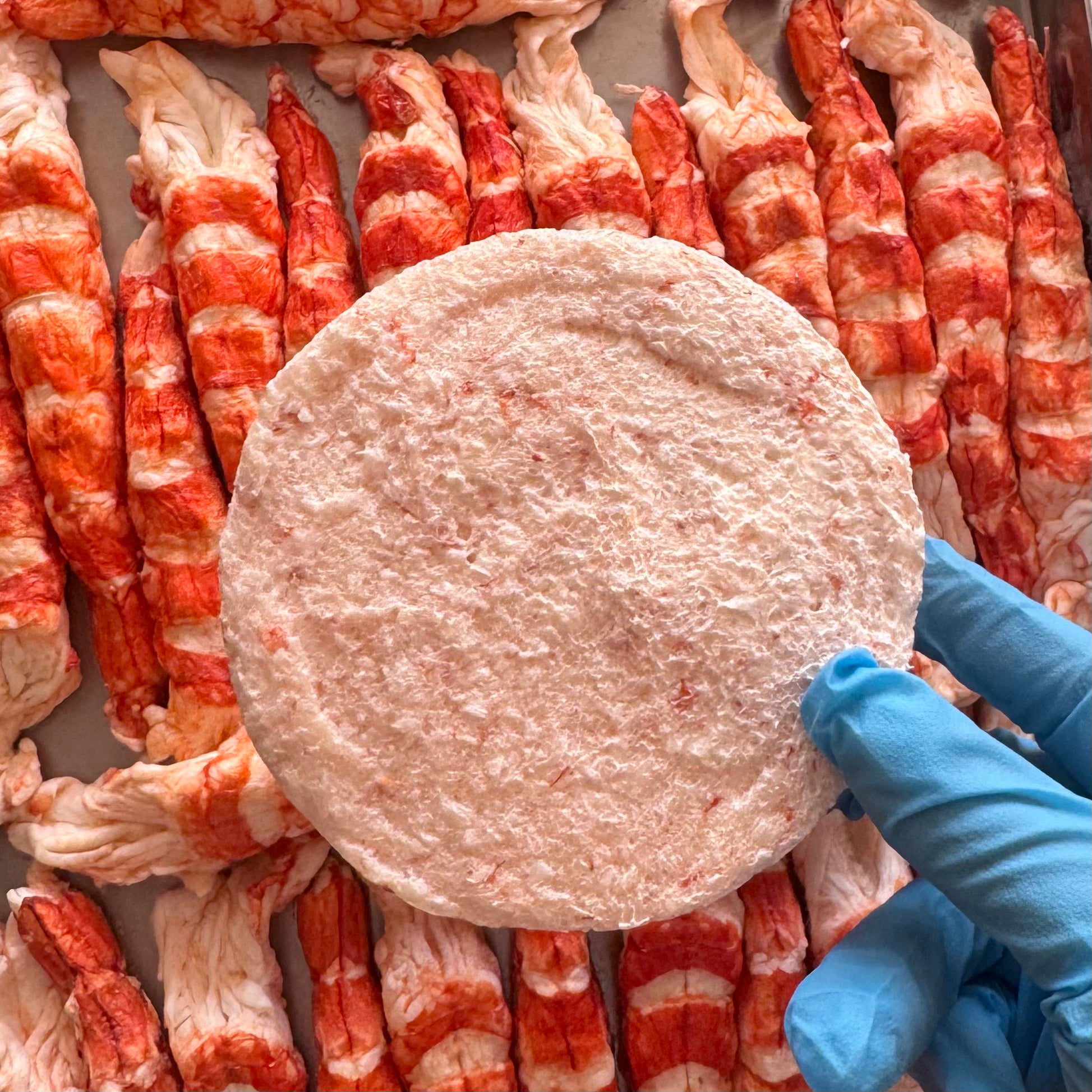 【預購】新春凍乾賀禮-巨型朱古力金幣