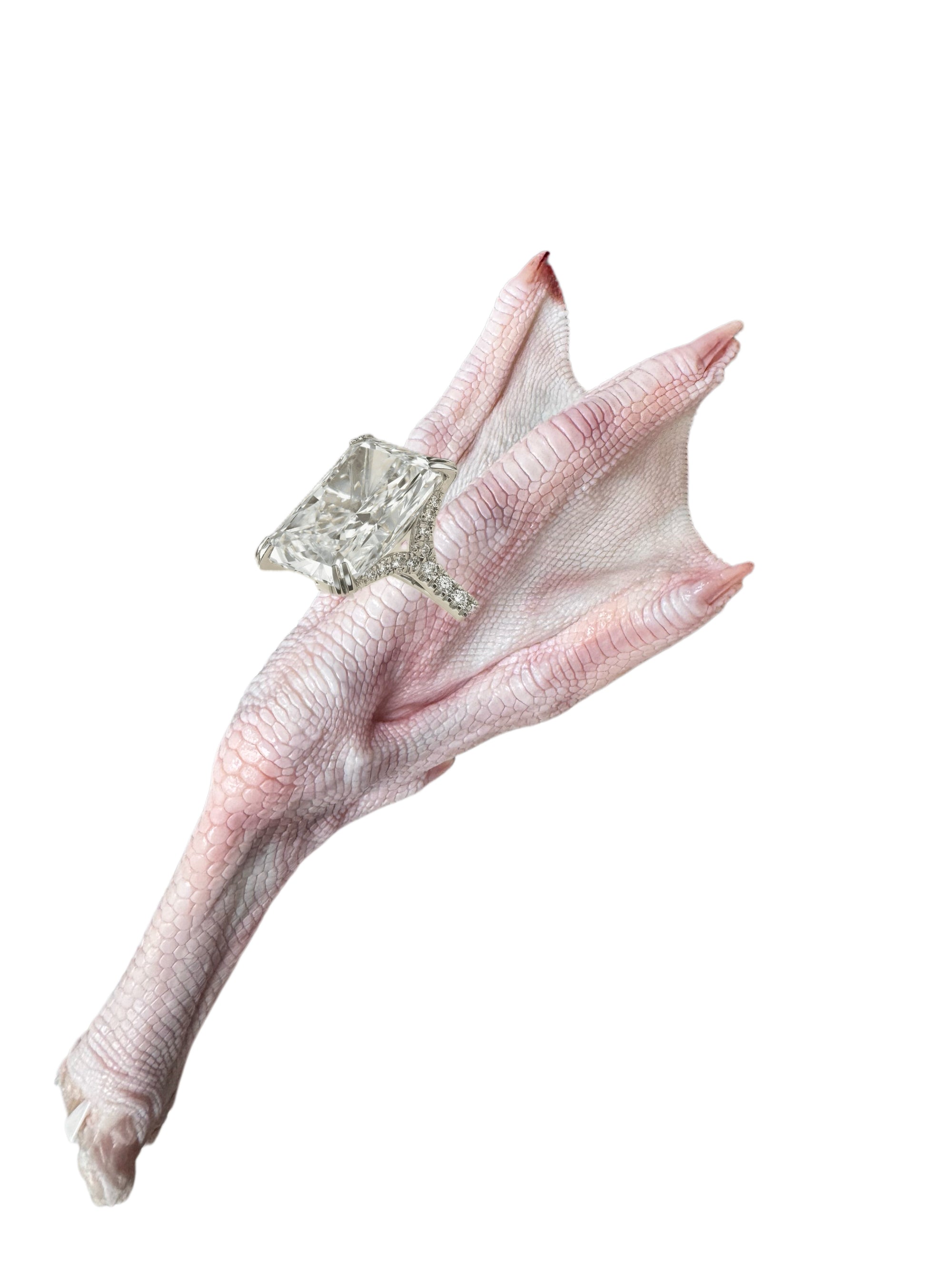 【新登場】ANiMEAL凍乾波蘭鵝掌2隻（不含鑽戒）